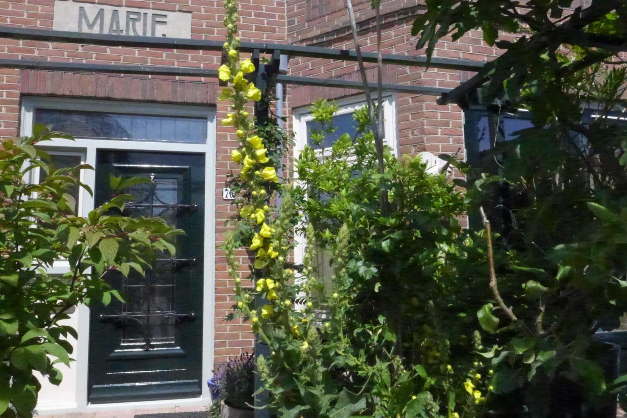 Family Home Marie Zandvoort Esterno foto